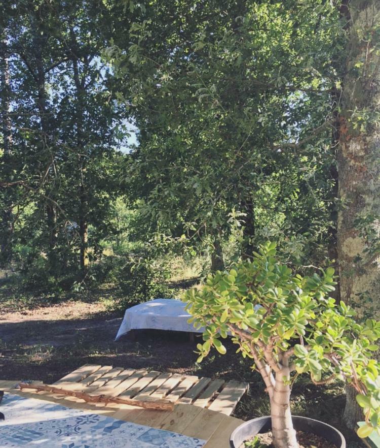 Tipi Lodge Dans La Foret Mimizan Exterior photo
