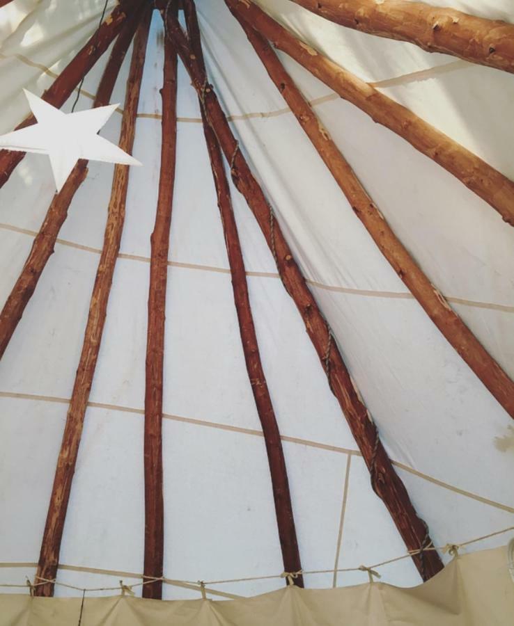 Tipi Lodge Dans La Foret Mimizan Exterior photo